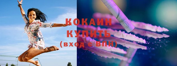 мяу мяу кристалл Няндома