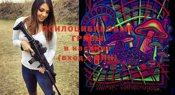 мяу мяу кристалл Няндома