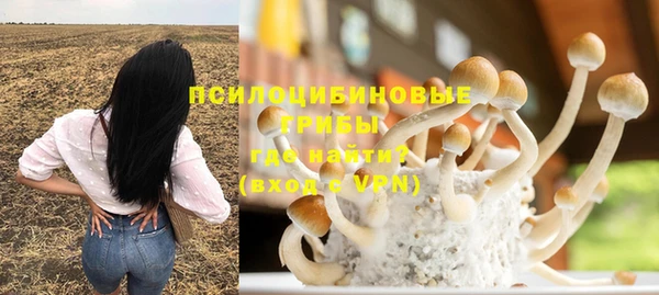 мяу мяу кристалл Няндома