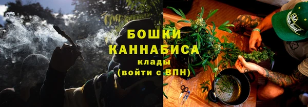 мяу мяу кристалл Няндома