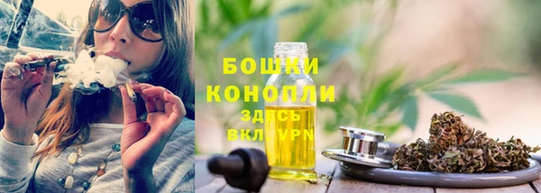 мяу мяу кристалл Няндома